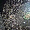 현대불가마사우나 이미지