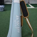 파크골프 입문 | 데이비드파크골프채 DP101 실사용 후기, 입문용 가격 추천 가방 여성 남성