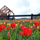 쉬자파크 이미지