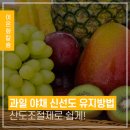 과일.야채 이미지