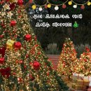 모에누베이커리 | [구미]크리스마스 카페 모에누 베이커리 후기|구미 크리스마스 트리 포토존 카페 추천