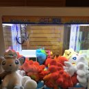 The뽑앙
