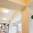 판교매일식당 정자직영점 이미지