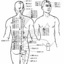 방광{오줌보}혈자리 도해 이미지