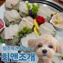 회앤조개 이미지