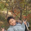 조하유치원 Daum카페