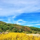 광산마을 네이버블로그