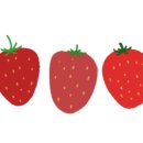 고양이무마취미용 무냥무냥 대구점 이미지