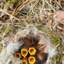 (주)동강 이미지