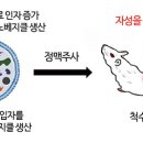 ﻿척수손상 표적치료제 개발되나..동물 실험에서 '10배 효과'﻿ 이미지