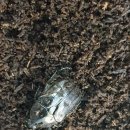 성유농장 이미지