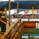 태극호좌대 이미지