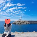 제주 반딧불 | [제주 2박 3일] 서부 핵심 코스 : 스노클링, 반딧불 명소까지!