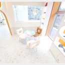 강남애견 이미지