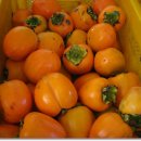 정옥농장 이미지