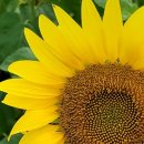 (주)성실솔루션 이미지