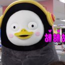 지구레코드 이미지