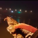 신진대교아래 안흥항 이미지