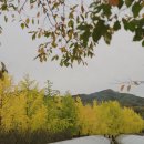 거창읍-25 이미지