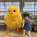 아이와농장 이미지