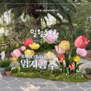수원 일월수목원 솔직후기 - 수원시민 50%할인에 엄지공주전시