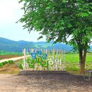 빨간지붕연천 | 임진강 댑싸리공원 후기 유모차 가능 서울근교 한적한 산책코스