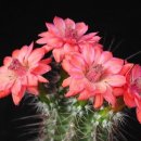 사랑이 머무는 둥지 이미지