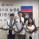 보조개한의원 네이버블로그
