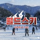 블루스키강습센터강촌점 | 엘리시안강촌 스키장 야간 스키강습 후기