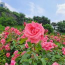 목동천 이미지