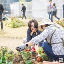 녹색정원 이미지