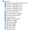 블루투스 드라이버 문제? 이미지
