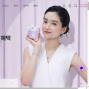 골든듀의 싯가듀 케이스스터디를 알아보자 (2026.06 창립세일)