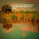 강태공낚시 이미지