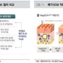 엘앤씨바이오