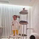 슬기로운 집사생활 | 팀버토츠 슬림러닝타워 한 달 사용 후기 | 키친헬퍼 몬테소리 육아템 추천