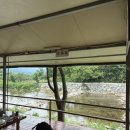 봉강산장 | 광양계곡 평상 옥룡 푸른산장 닭구이 내돈내산