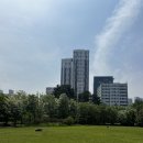 추동육교 | W.diary_웨딩촬영#1(웨촬장소추천)