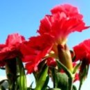 정하경로당 이미지