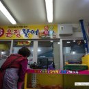 윤정활어