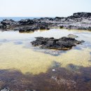 용수충혼묘지 이미지