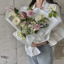 꼬모플레리