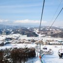 폭신폭신 이미지