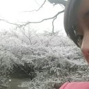 치매 예방 웃음 건강 체조 이미지