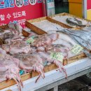 신항구회센타 네이버블로그