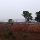 월곡리마을회관 이미지