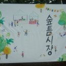 숲의틈(FOREST GAP)