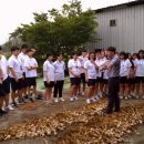 해성농장1 이미지