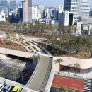 남산공원길3 이미지