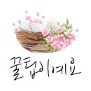 수완PGA 이미지